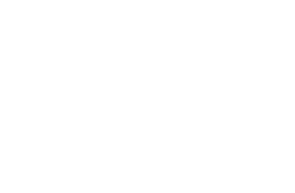 what does af stand for logo